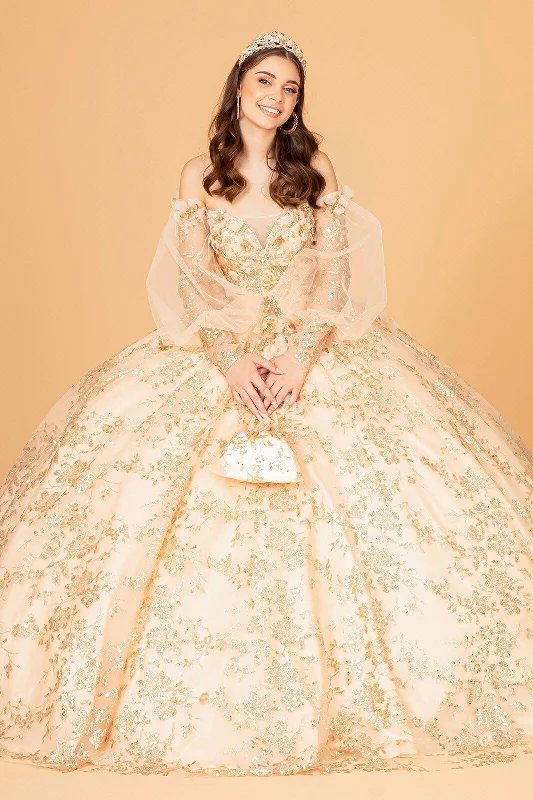Long Quinceanera Dress Ball Gown