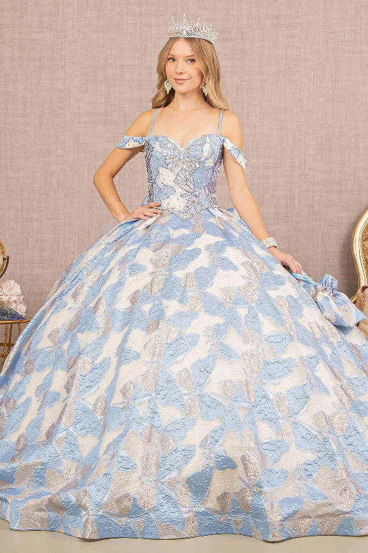 Long Quinceanera Dress Ball Gown